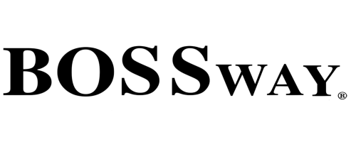 Logo website