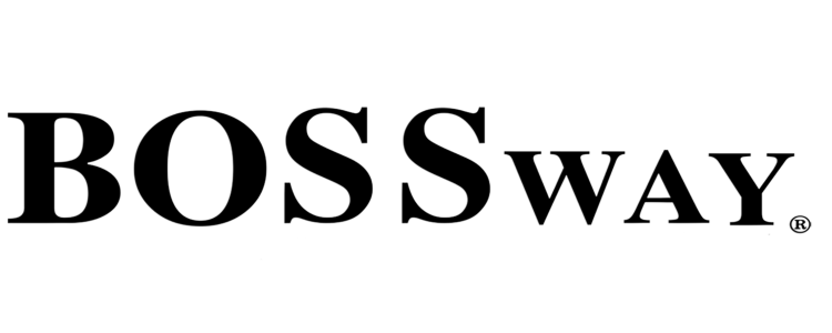 Logo website
